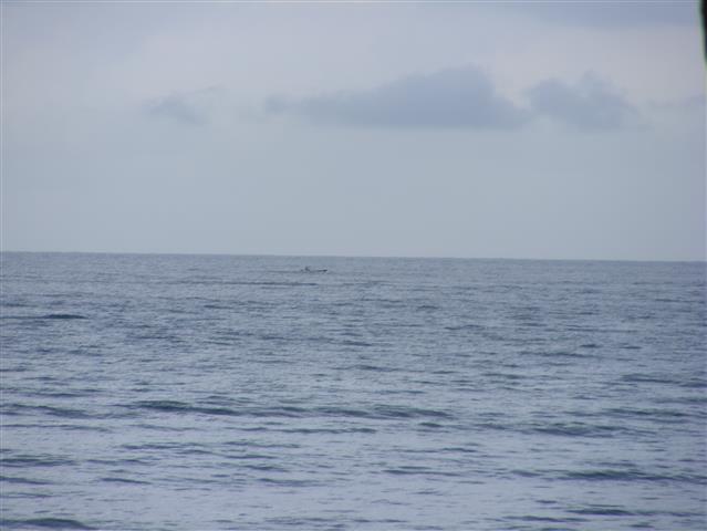 617x457 pixels (34K)